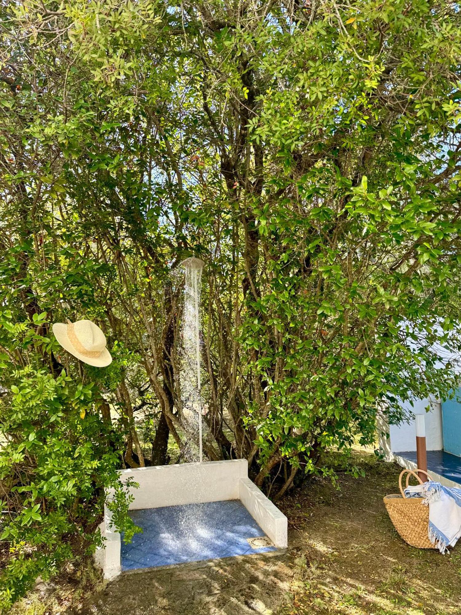 Garden Retreat - Homey Experience Olbia Ngoại thất bức ảnh